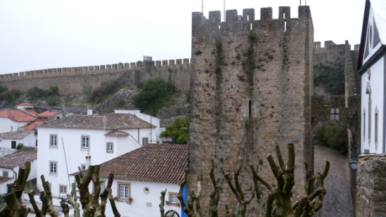 P1550696.jpg