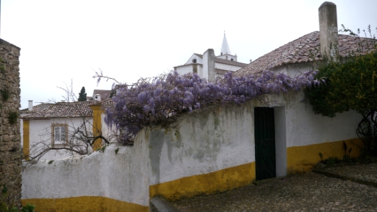 P1550706.jpg