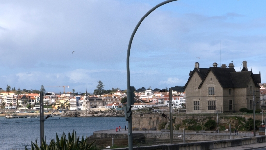P1550720.jpg
