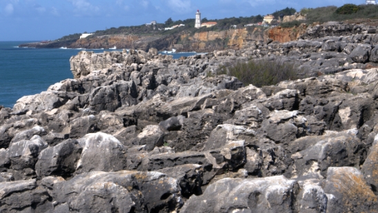 P1550825.jpg