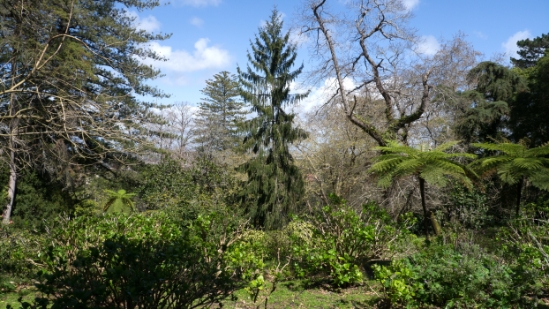 P1550936.jpg