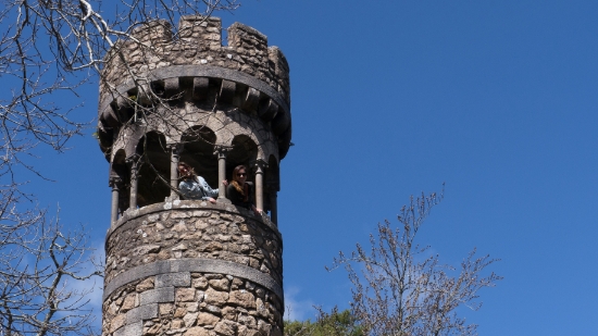 P1550950.jpg