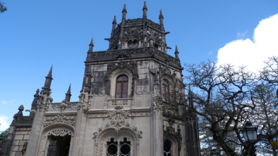 P1560068.jpg