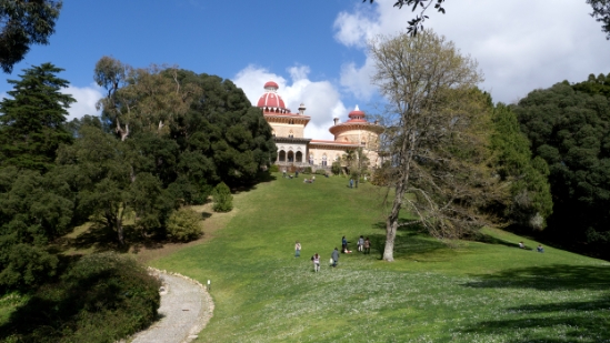 P1560153.jpg