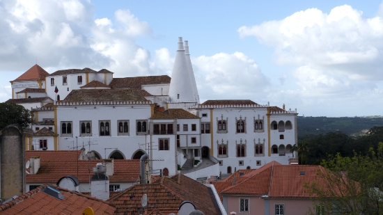 P1560220.jpg