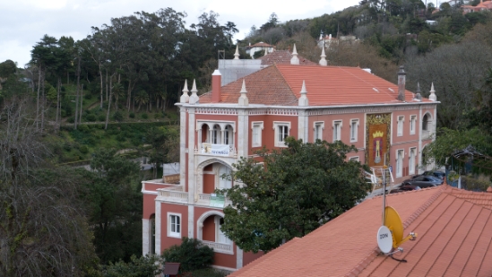 P1560221.jpg