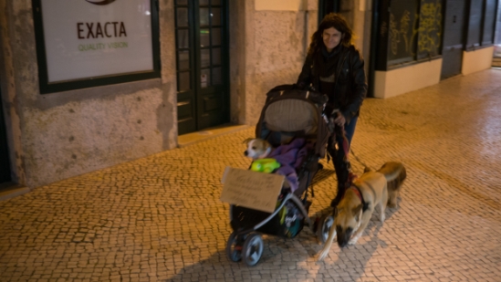 P1560317.jpg