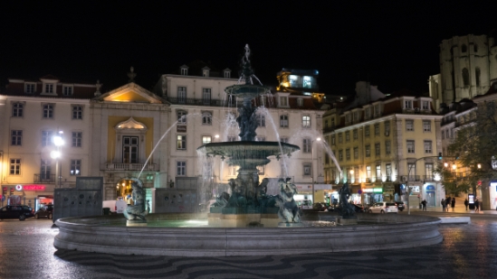 P1560330.jpg