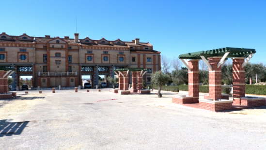 P1560335.jpg