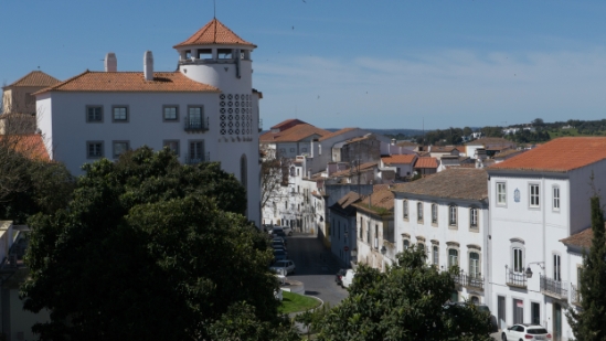 P1560416.jpg