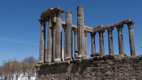 P1560425.jpg