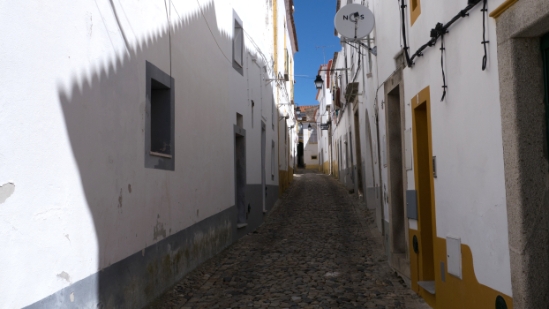 P1560438.jpg