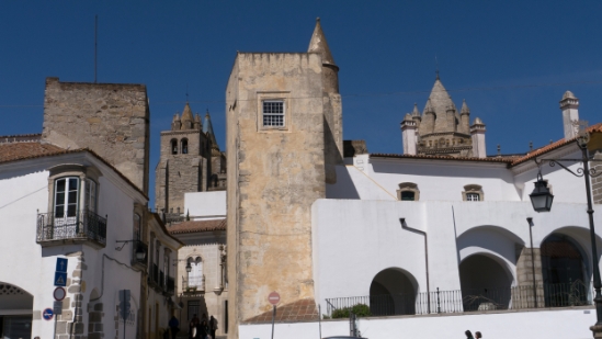 P1560441.jpg