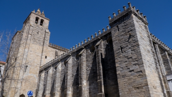 P1560443.jpg