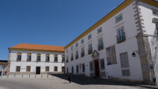 P1560455.jpg