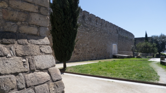 P1560472.jpg