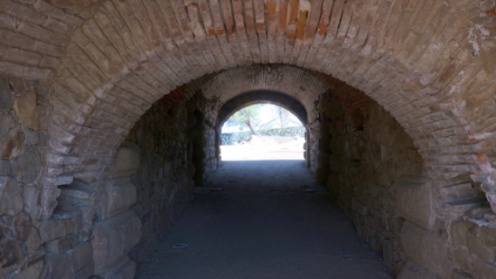 P1560523.jpg