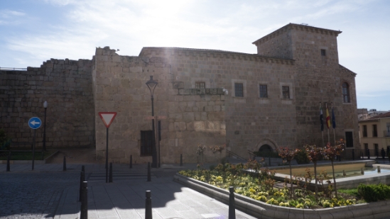 P1560632.jpg