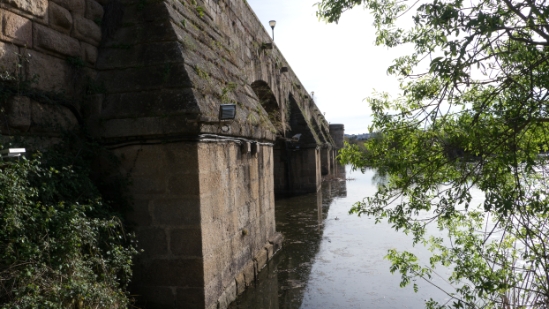 P1560666.jpg
