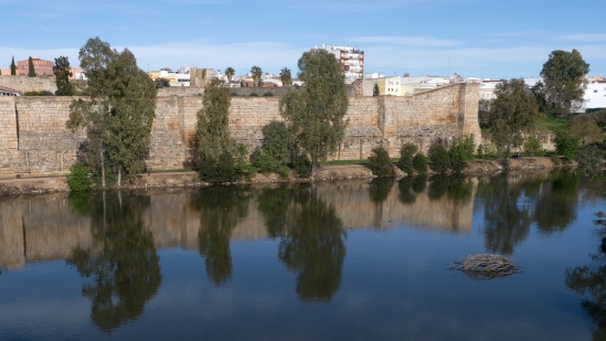 P1560667.jpg