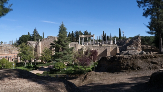 _1560600.jpg