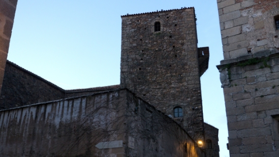 P1560757.jpg