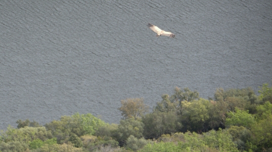 P1560834.jpg