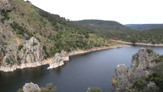 P1560898.jpg