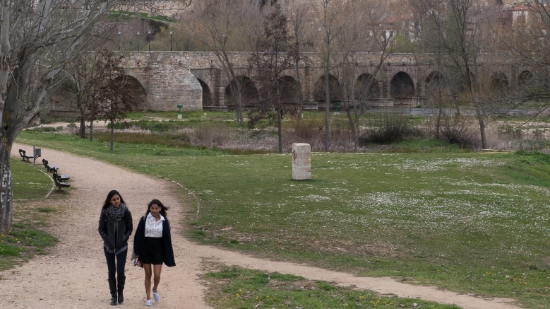 P1560930.jpg
