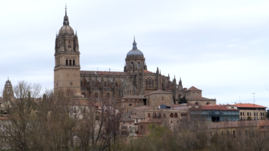 P1560944.jpg