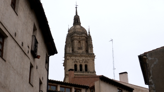 P1560959.jpg