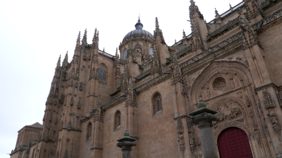 P1560974.jpg