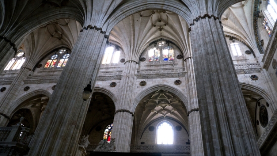 P1560986.jpg