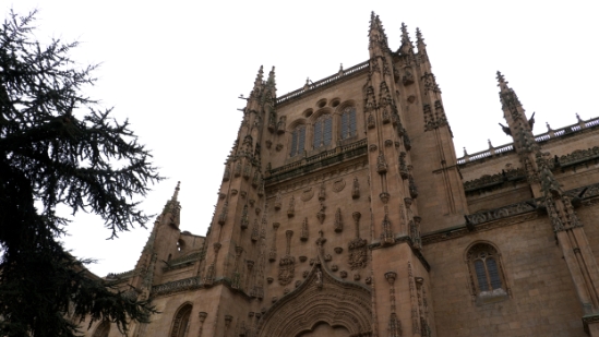 P1560987.jpg