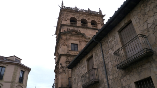 P1570022.jpg