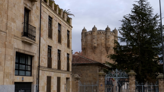 P1570056.jpg