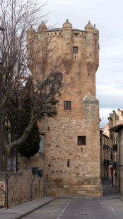 P1570061.jpg