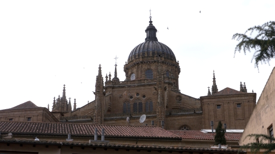 P1570073.jpg
