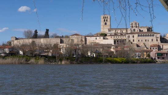 P1570093.jpg