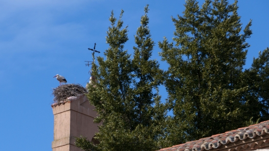 P1570156.jpg