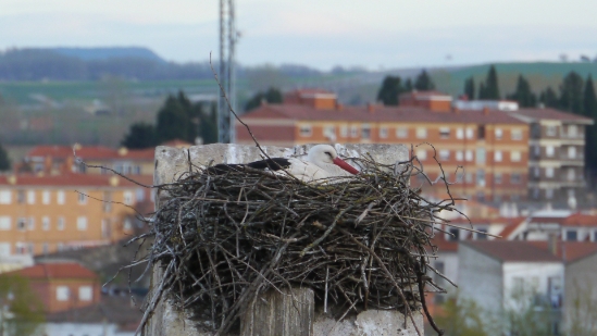 P1570233.jpg