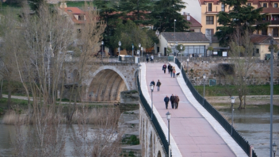 P1570236.jpg
