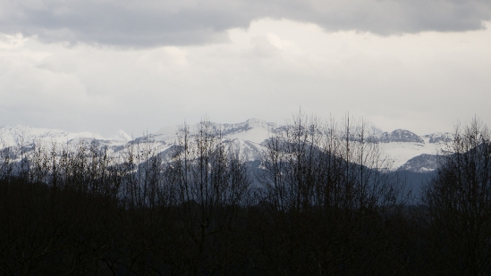 P1570413.jpg
