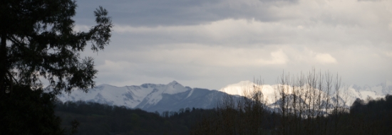 P1570427.jpg