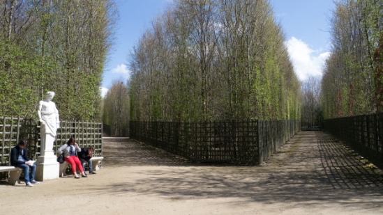P1570833.jpg