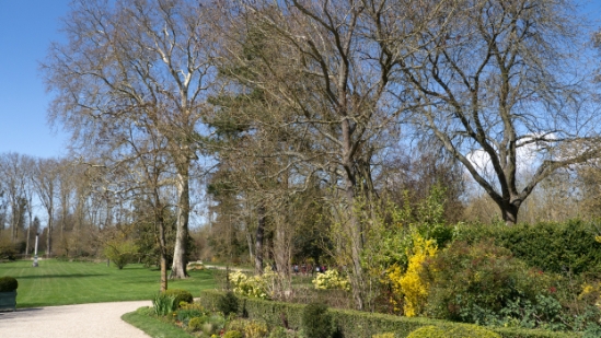P1570854.jpg