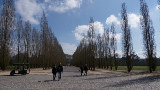 P1570962.jpg