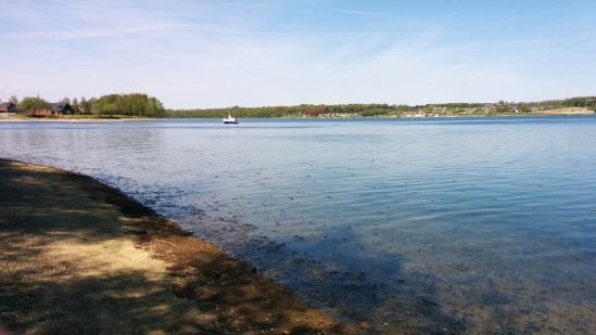 IMG_20160507_120144.jpg