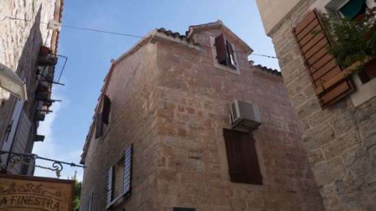 P1580777.jpg
