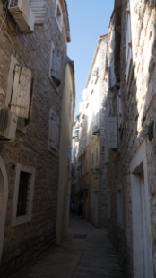 P1580869.jpg